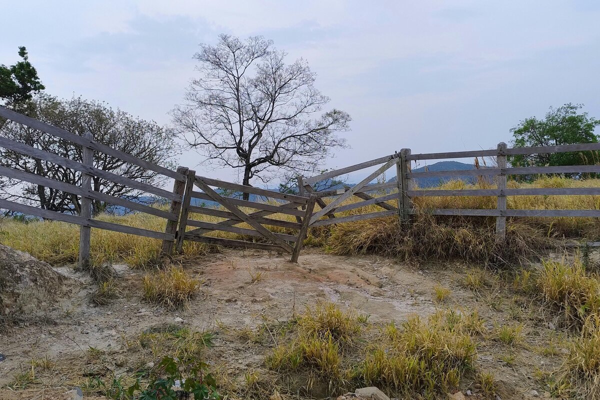 Puuaidan rakentamista